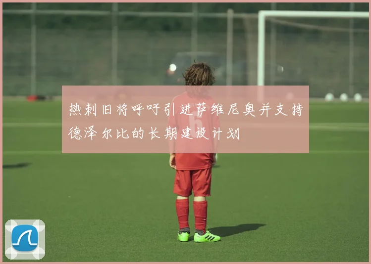 热刺旧将呼吁引进萨维尼奥并支持德泽尔比的长期建设计划